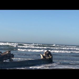 Meet your Posher, Bernardino